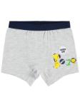 BoxerKategorisi İçin Resim