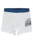 BoxerKategorisi İçin Resim