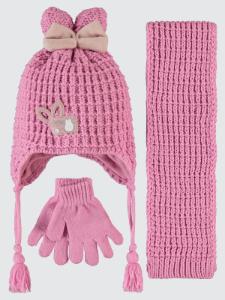 Resim Kız Çocuk Atkı Bere Eldiven Setleri 2-5 Yaş Pembe - Paket